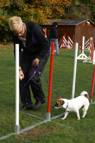 agility 2011-10-30